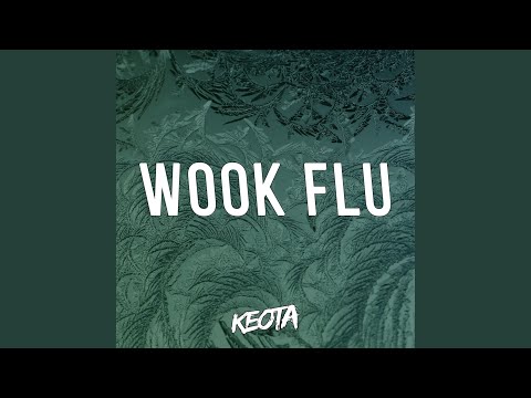 download lagu mp3 mp4 Wook Flu, download lagu Wook Flu gratis, unduh video klip Wook Flu