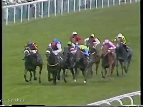 1987 Cork And Orrery Stakes Big Shuffle Includes Replay