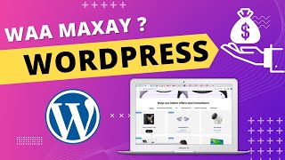 waa maxay wordpress website | Sidee lacag looga sameeyaa website wordpress | Wax badan ka ogow