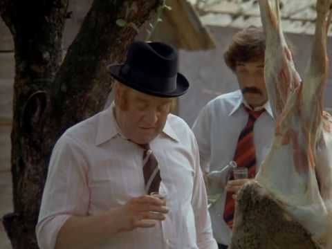 Pasla kone na betone - emancipacia