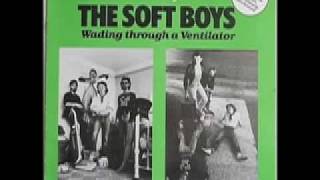 The Soft Boys - Wading Through a Ventilator