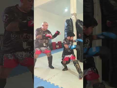 THERAPY WITH LIAM LEMOS PITBULL GYM JUNÍN DE LOS ANDES