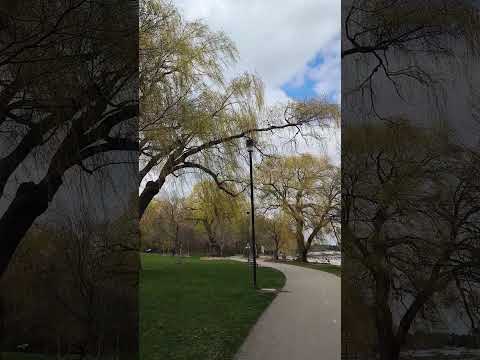 Jack darling memorial park beach in Mississauga