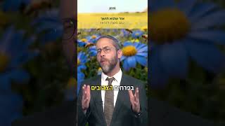 אור שהוא חושך 💫 הרב משה לנדאו במסר חשוב💜 (ארגון ערכים) - התמונה מוצגת ישירות מתוך אתר האינטרנט יוטיוב. זכויות היוצרים בתמונה שייכות ליוצרה. קישור קרדיט למקור התוכן נמצא בתוך דף הסרטון