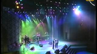 Chayanne, Fuiste un trozo de hielo en la escarcha, Festival de Viña 1991