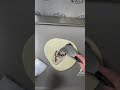 Nutella Rolled Ice Cream
