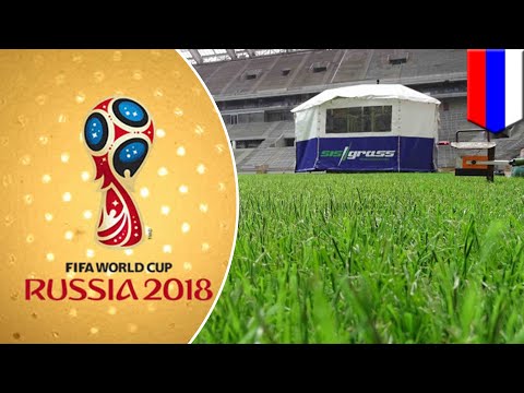 Artificial turf to be used at 2018 FIFA World Cup in Russia - TomoNews