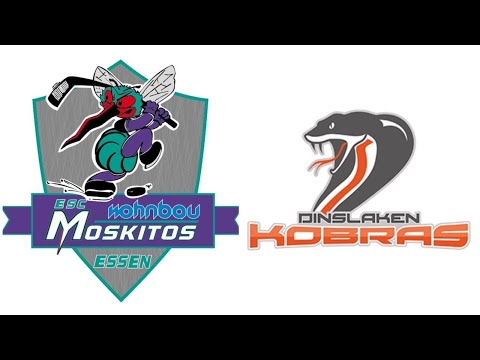 Testspiel ESC Wohnbau Moskitos Essen - Dinslaken Kobras I 04.10.2020