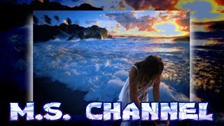 🌟 DON'T KNOW WHY_DAVID BENOIT 🌟