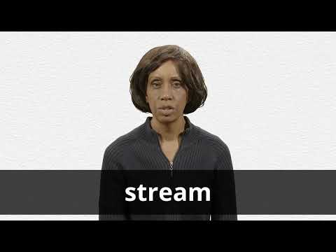 STREAM definition and meaning