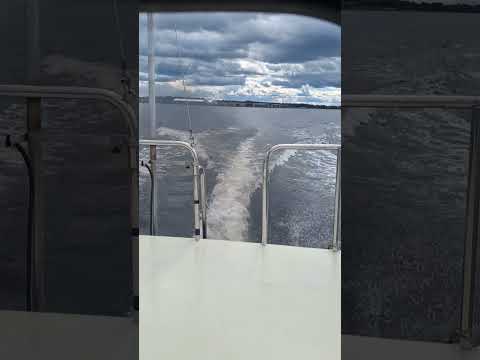 Nimbus 26 1977, TAMD41A 1989