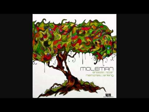 Moleman - Breeze EP (Breeze/Soar/Memories/Sinking) Full