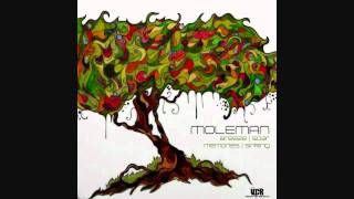 Moleman - Breeze EP (Breeze/Soar/Memories/Sinking) Full