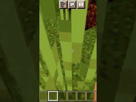 Who Will Survive the Stickman vs. Minecraft Battle Royale?