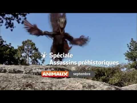 En Septembre sur Animaux BisTV ABSAT via AERVI Boutique