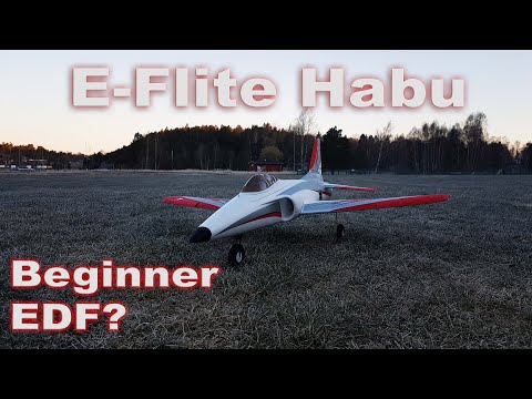 E-Flite Habu - A Beginner EDF?