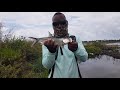 Fly Fishing For Snook Off The Beach Of Hopkins Village