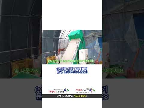탈피세척기(은행,호두)