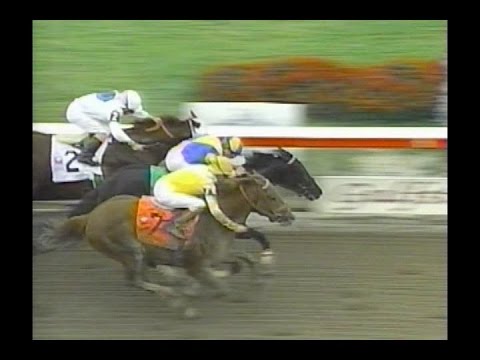 1999 Florida Derby