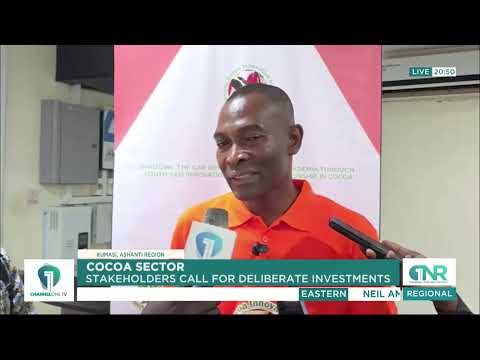 KNUST Researchers Call for Technology-Driven Investment to Save Ghana’s Cocoa Sector