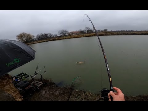 Method fider zimi  - Januar, Backi Jarak 31.1.2021