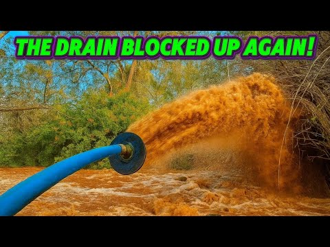 SHE WAS QUOTED $32,000 TO REPLACE HER BLOCKED DRAIN, Then I Arrived.