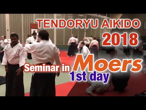 【海外指導】Moers seminar ① Tendoryu Aikido 2018
