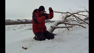 Ссылка