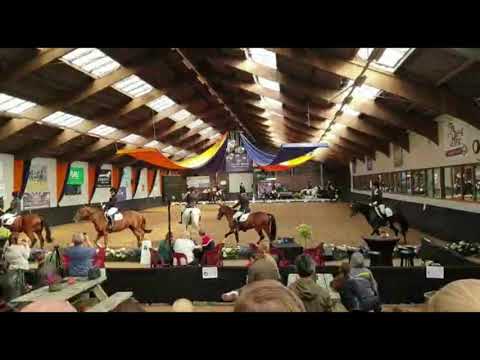 Nat carrousel paarden 2019