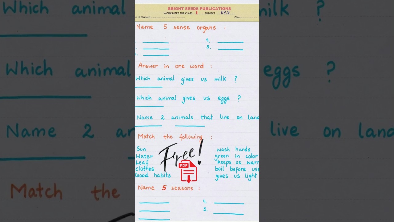 EVS Worksheet for Class 1 Kids | Easy Practice Worksheet | Free PDF Available