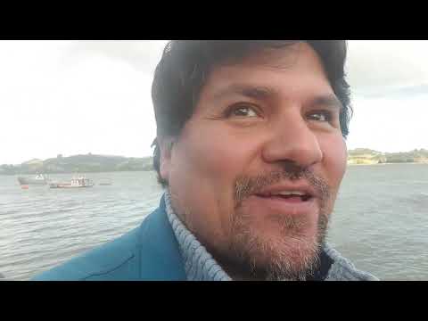 terapias alternativas efectivas en castro chiloe region de los lagos archipielago acupuntura