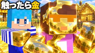 触ったものが金になる世界でおかんを触る！【まいくら / マインクラフト】