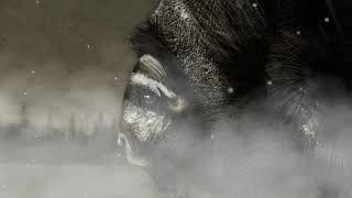 Gianni Maroccolo feat Stefano Edda Rampoldi