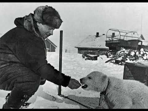 Лейся песня на просторе 1937 год