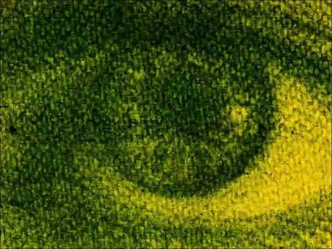 Anthotype Animation Clip | Plant-based animation by Edd Carr