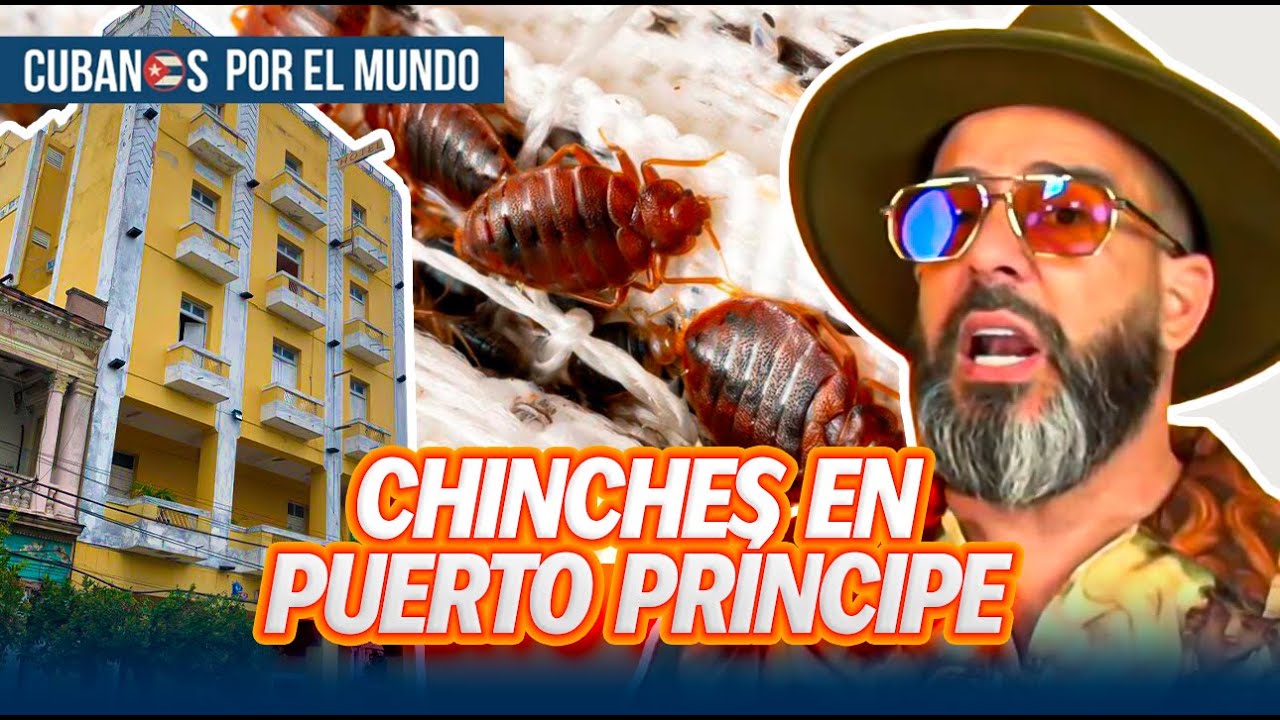 Plaga de chinches del Hotel Puerto Príncipe invade casas en Camagüey