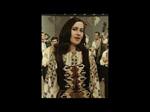 Nina Ermurachi - Cîte păsări codrul are (1977)