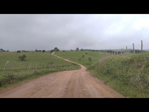 De volta a minha terra Natal Palmeirina pe 