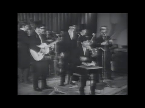 Worried Men Skiffle Group - Der Schönste Mann Von Wien (1969)