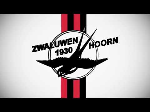 Hoogtepunten Zwaluwen30  - Vitesse Delft