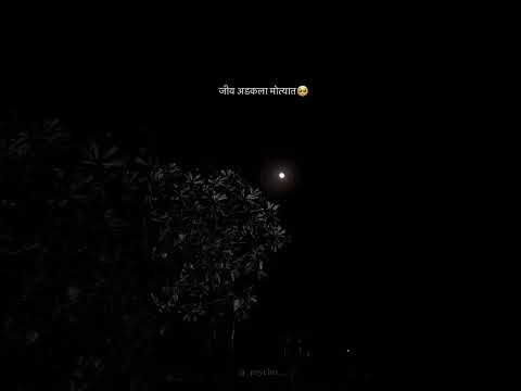 #youtube #hashtags #like #morningmotivation #life #support #motivation #yearofyou 💫🥀❤️