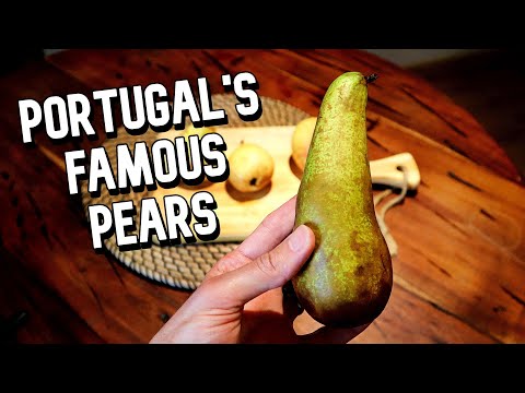 Reviewing Portugal's Famous PEARS - Weird Fruit Explorer