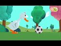 Ducky Adventures Playing Football