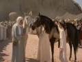 The Young Black Stallion 2003 Part 6 6