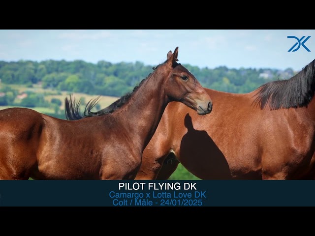 27. Pilot Flying DK