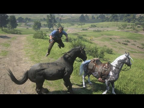 RDR2-The Real Trick to Catch a Missouri Fox Trotter (Photographer Mission Method)