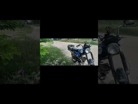 Rajtszám: 127