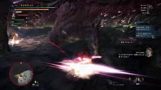 双剣でムフェト野良部屋入って一撃する配信