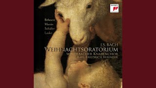 Weihnachtsoratorium, BWV 248: No. 10, Sinfonia
