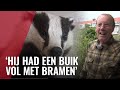 Dode das gered uit kliko en opgezet